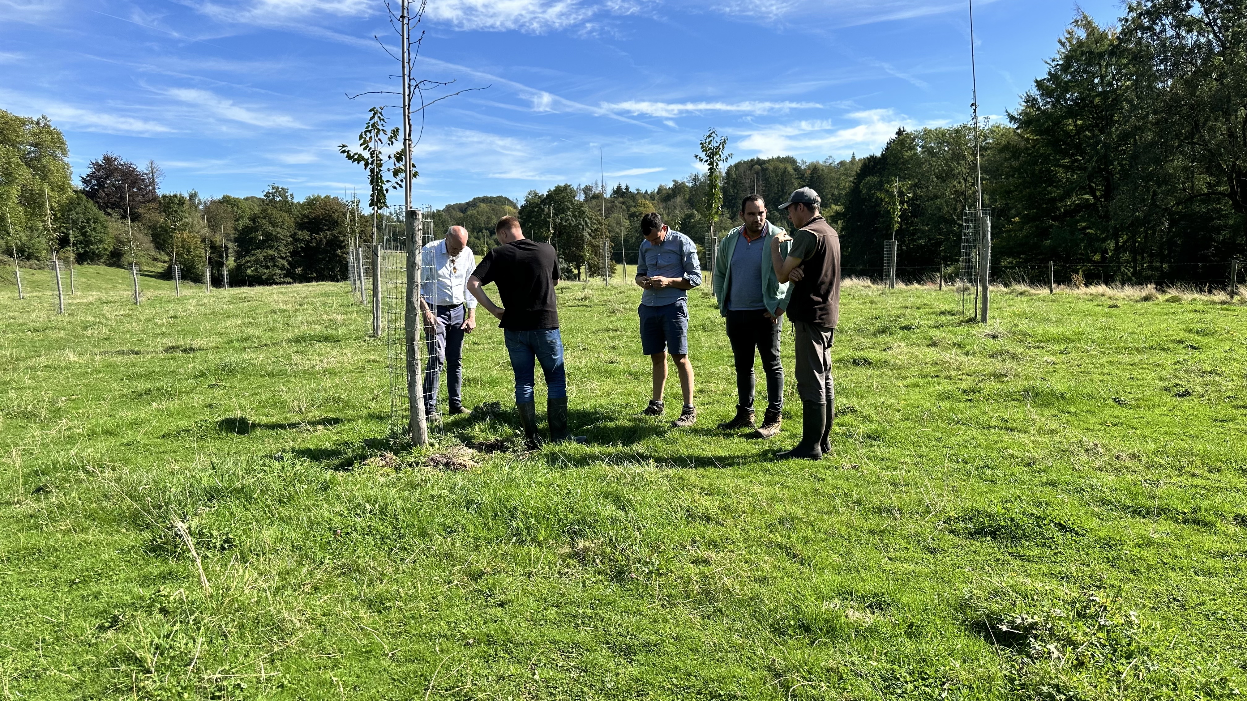 L'équipe de Terres Vivantes en pleine reconnaissance des graminées