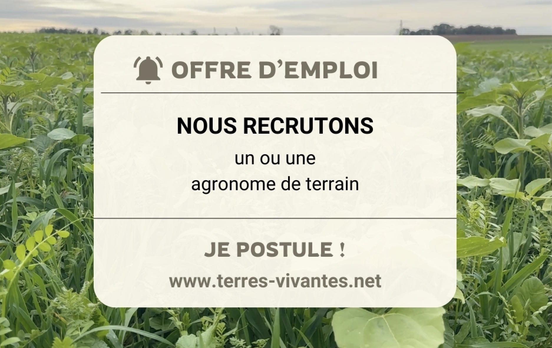 Offre d'emploi : agronome de terrain