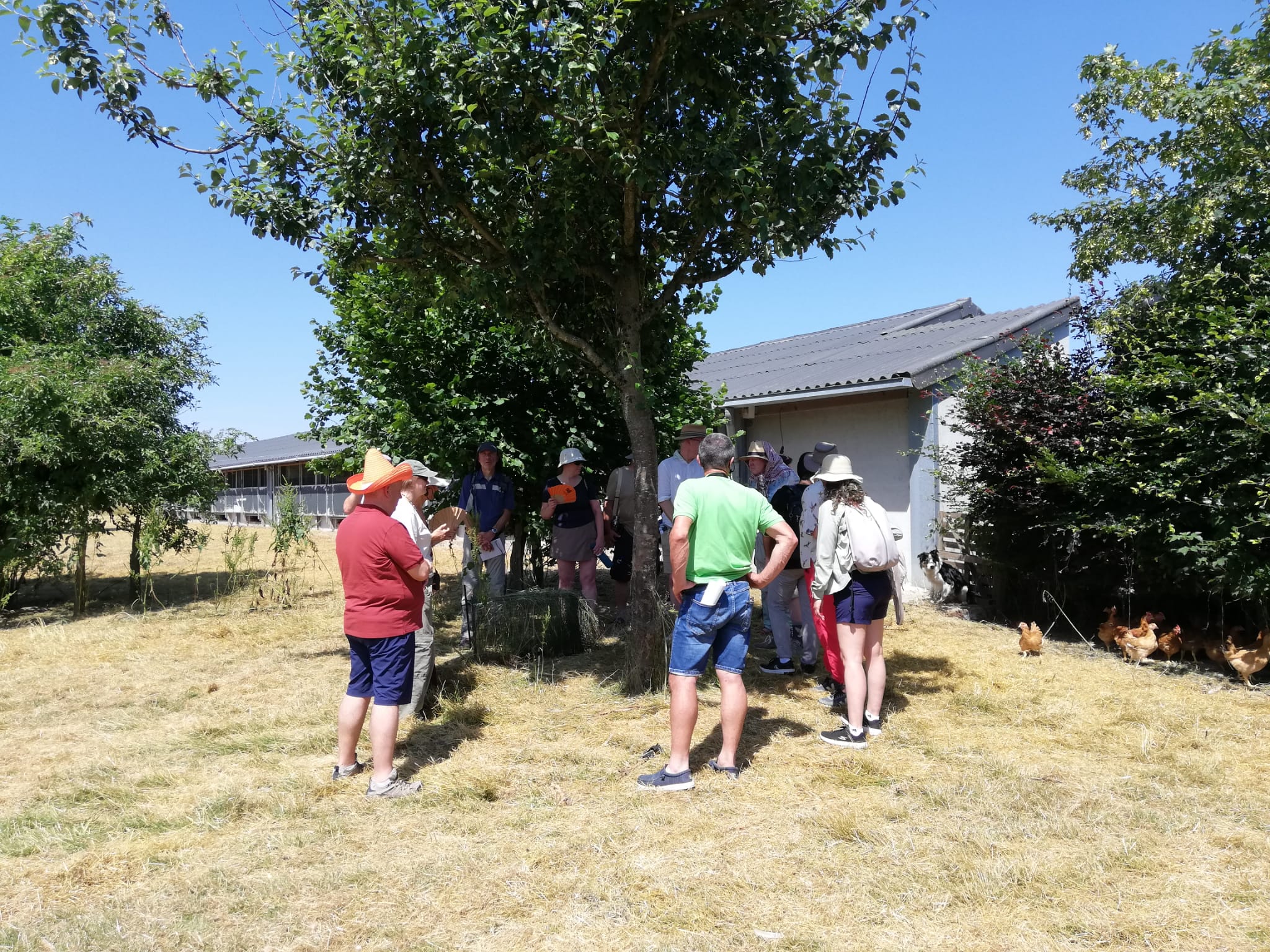 Le groupe lors de la visite du 2nd Summit of Lighthouse Farms à la Ferme de Habaru