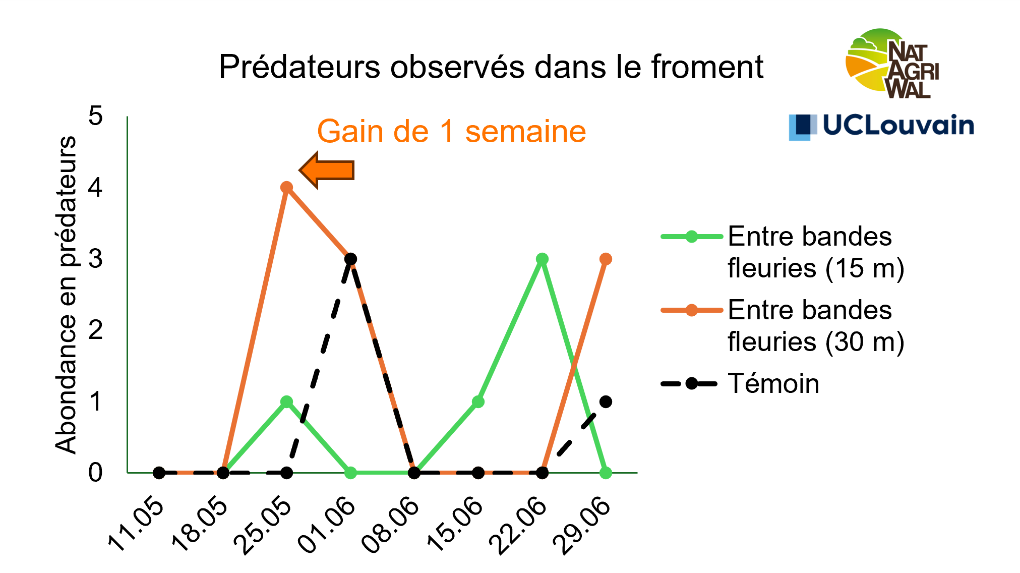 Une figure de l'étude de Natagriwal sur les bandes herbeuses
