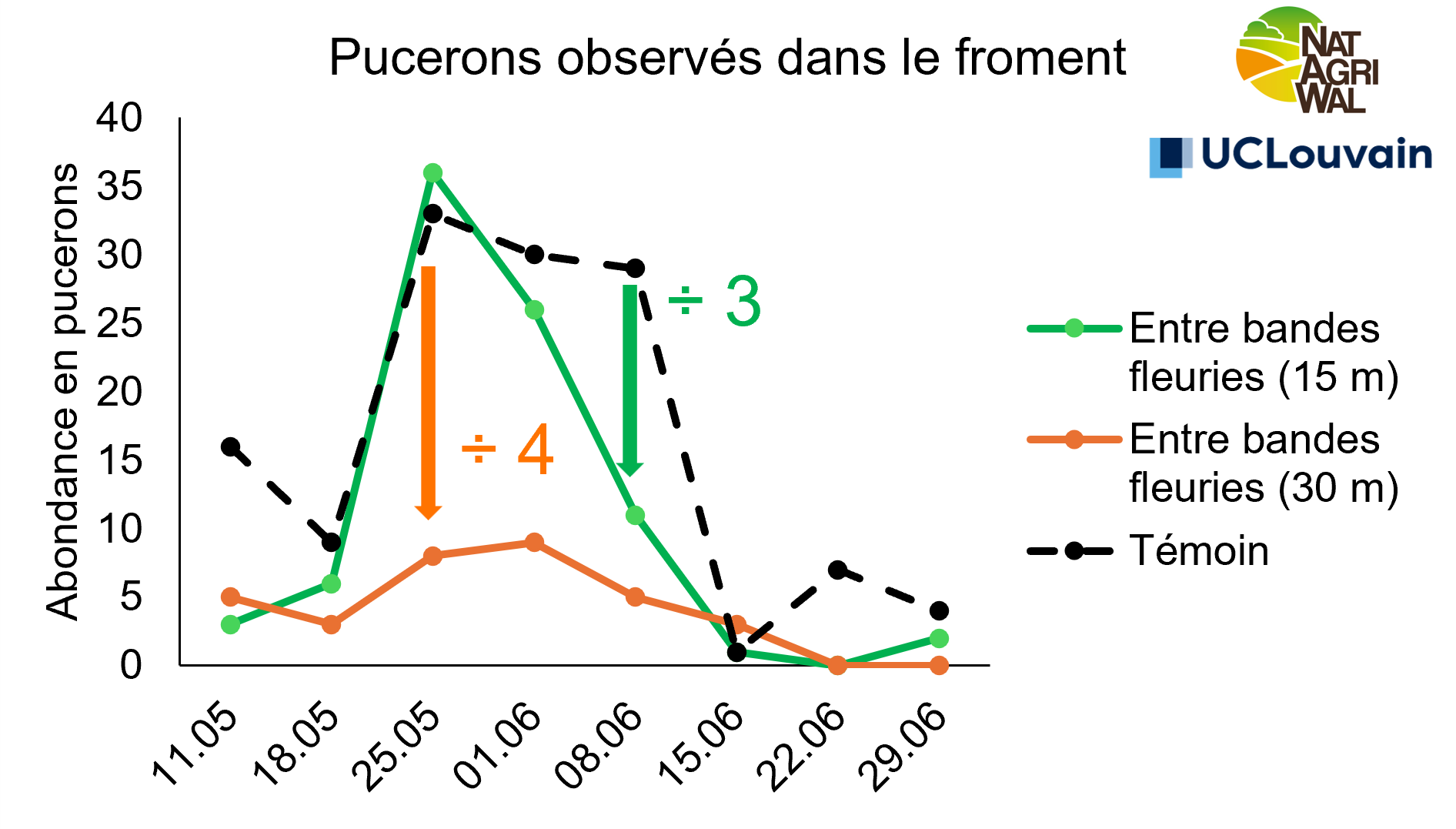Une figure de l'étude de Natagriwal sur les bandes herbeuses