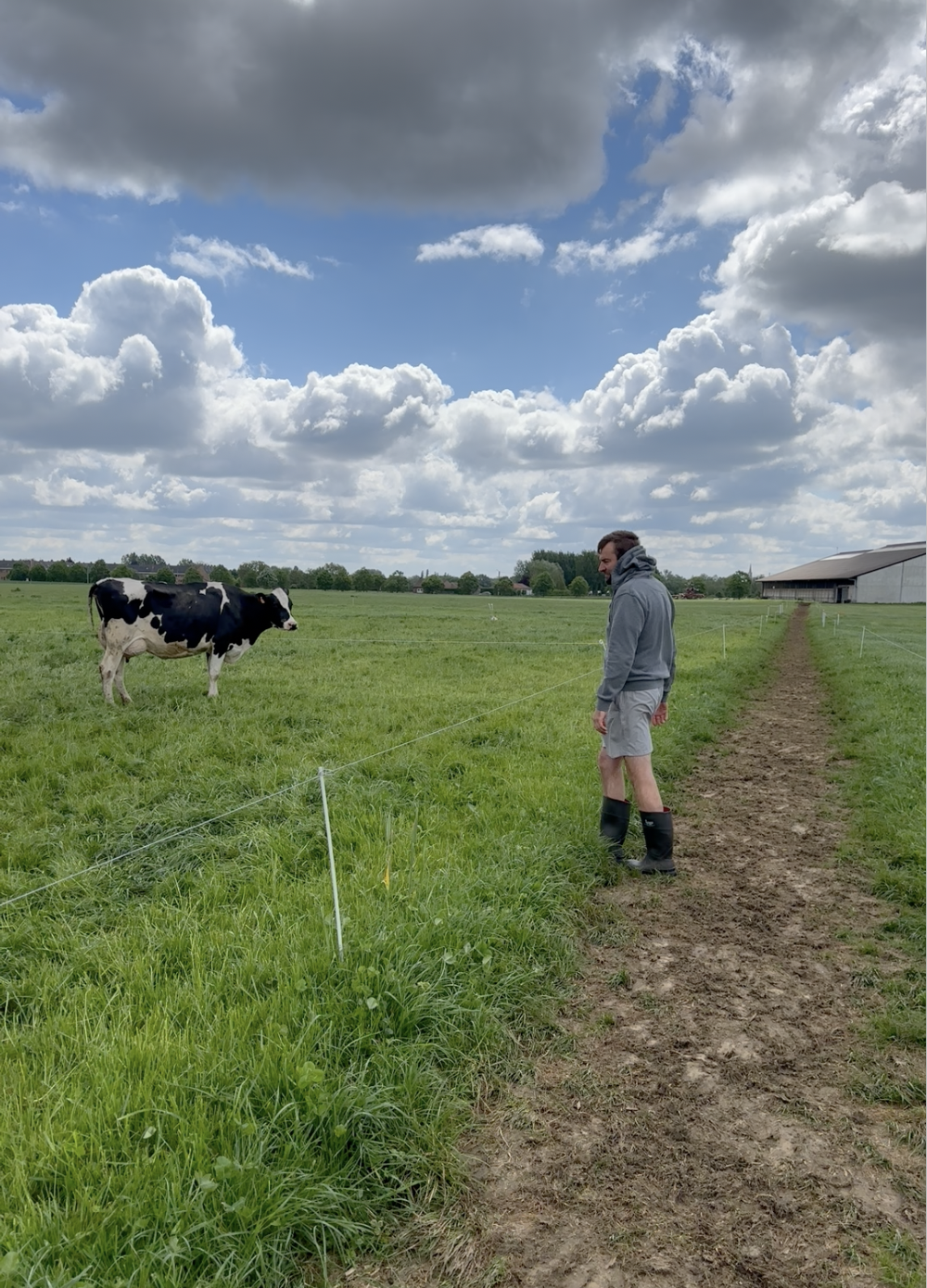 Thibault Lamérand, polyculteur-éleveur laitier à Comines-Warneton, avec ses vaches en prairie