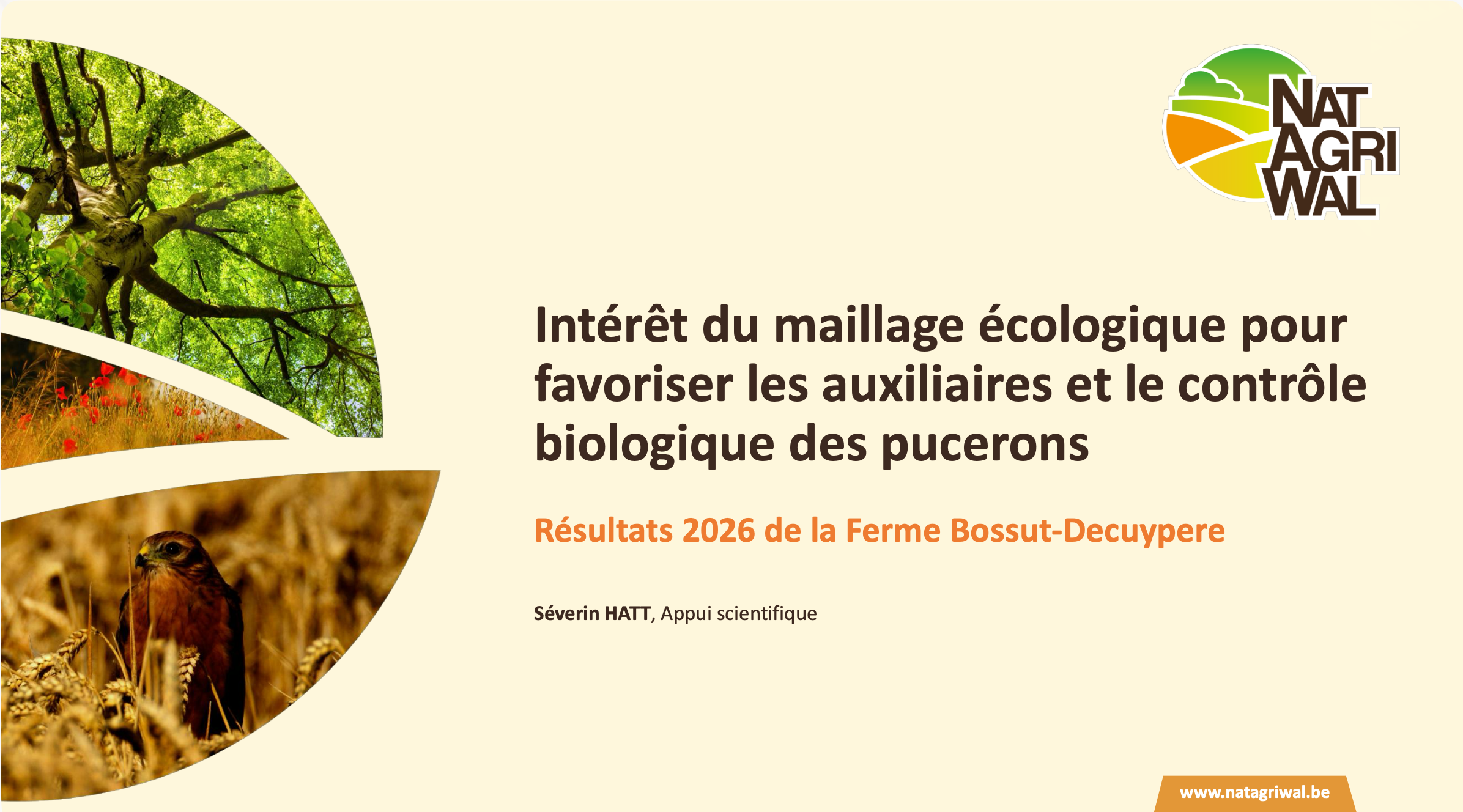 La couverture de l'étude de Natagriwal sur les bandes herbeuses