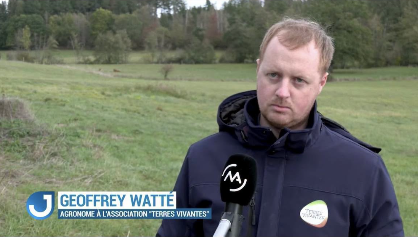 Notre agronome Geoffrey Watté, interrogé par le média local matélé