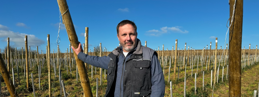 Philippe Pirenne, membre de Terres Vivantes et porteur d'un projet viticole dans la province du Luxembourg belge, pose devant ses vignes