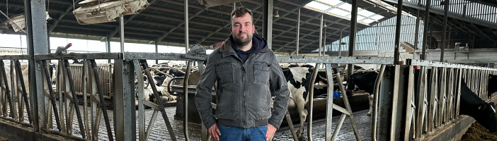 Thibault Lamérand, polyculteur-éleveur laitier à Comines-Warneton, prend la pose devant ses vaches laitières, dans l'étable