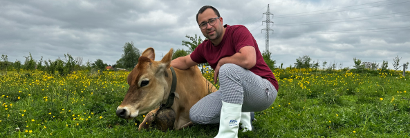 François Dubois, membre de Terres Vivantes, avec une de ses vaches Jersey