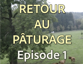 Le premier épisode de notre série de vidéos Retour au pâturage