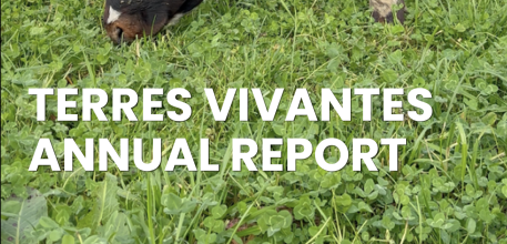 Our 2025 annual report