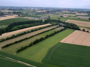La Ferme du Plesnoy et son système d'agroforesterie vus du ciel