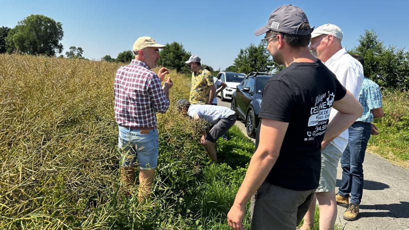 Johan Baland parle de son colza lors d'un tour de plaine organisé par Terres Vivantes pour ses membres