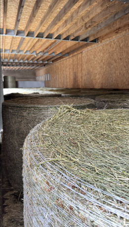 Les boules de foin dans le séchoir chez Dominique Moulin