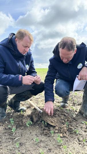 Nos agronomes Geoffrey Watté et Jean-Guy Siraux observent la structure du sol d'une parcelle de cultures